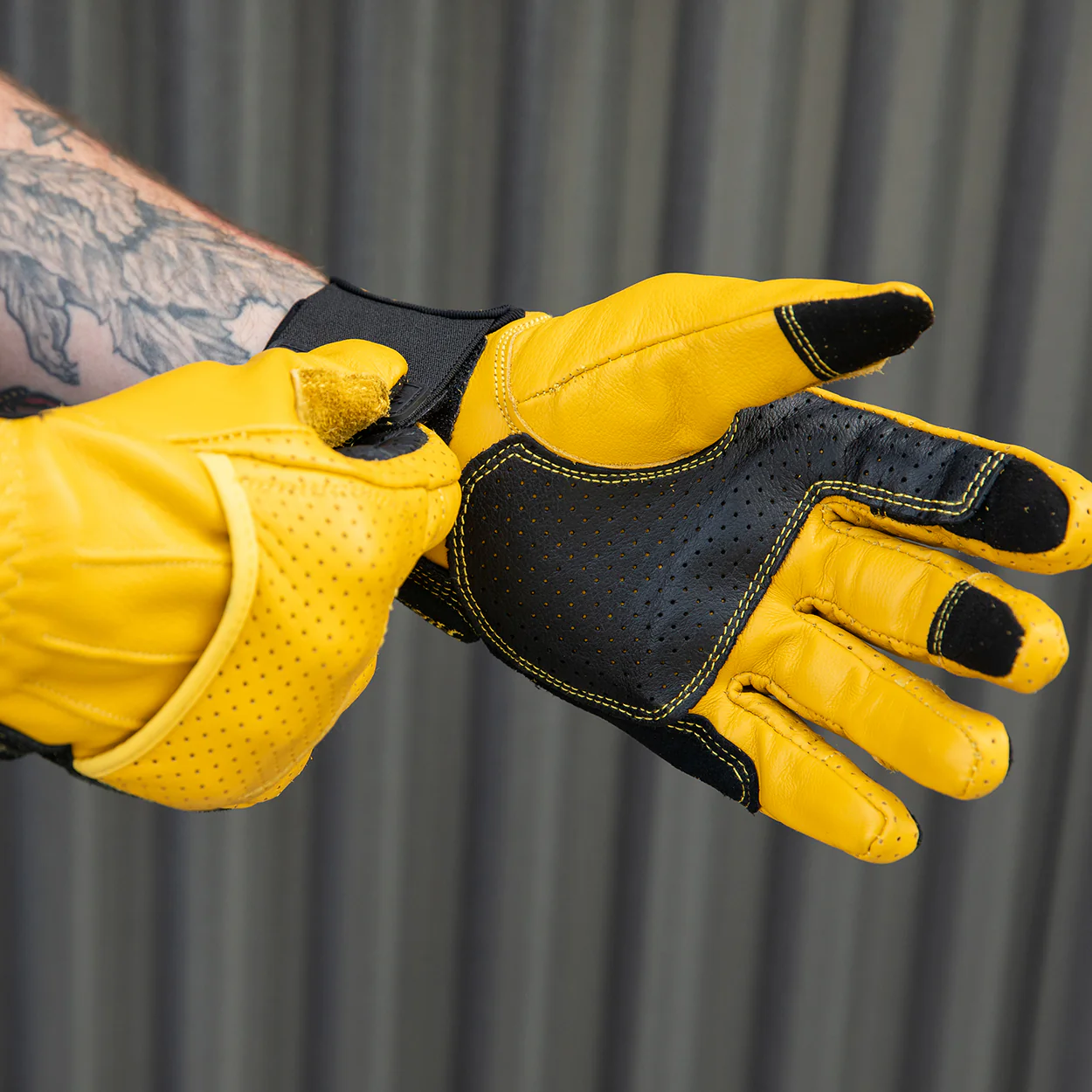 CLOSEOUT Borrego Gloves - Gold/Black - Image 13