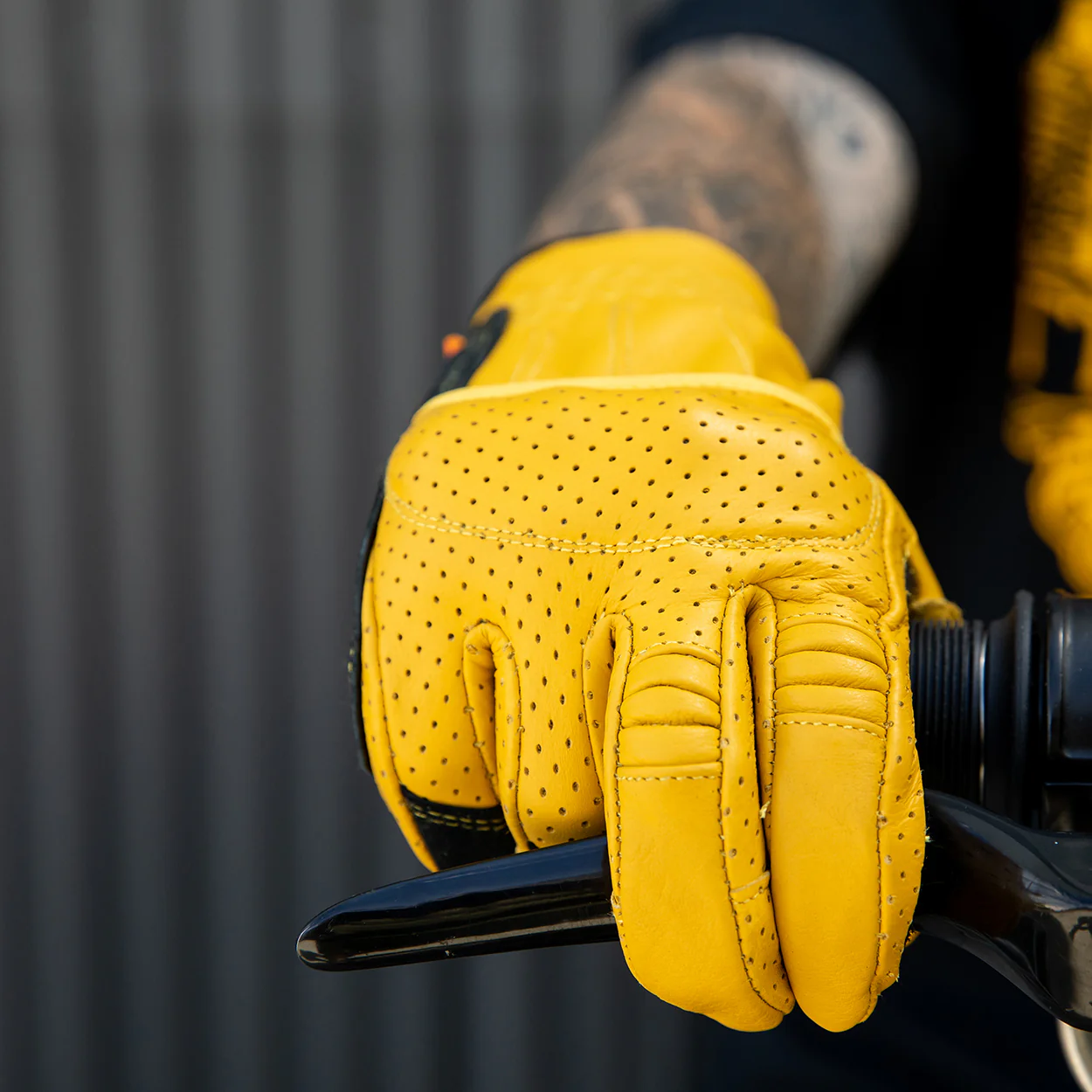 CLOSEOUT Borrego Gloves - Gold/Black - Image 9