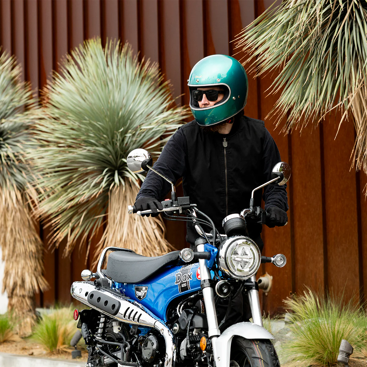 Gringo Helmet - Metallic Catalina - Image 13