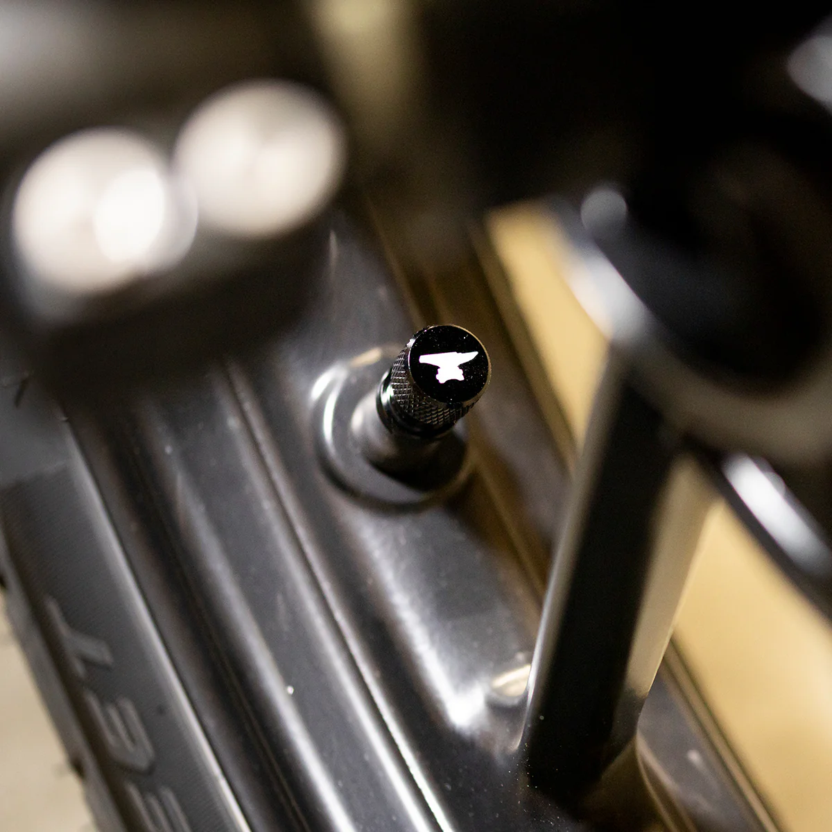 Valve Stem Caps